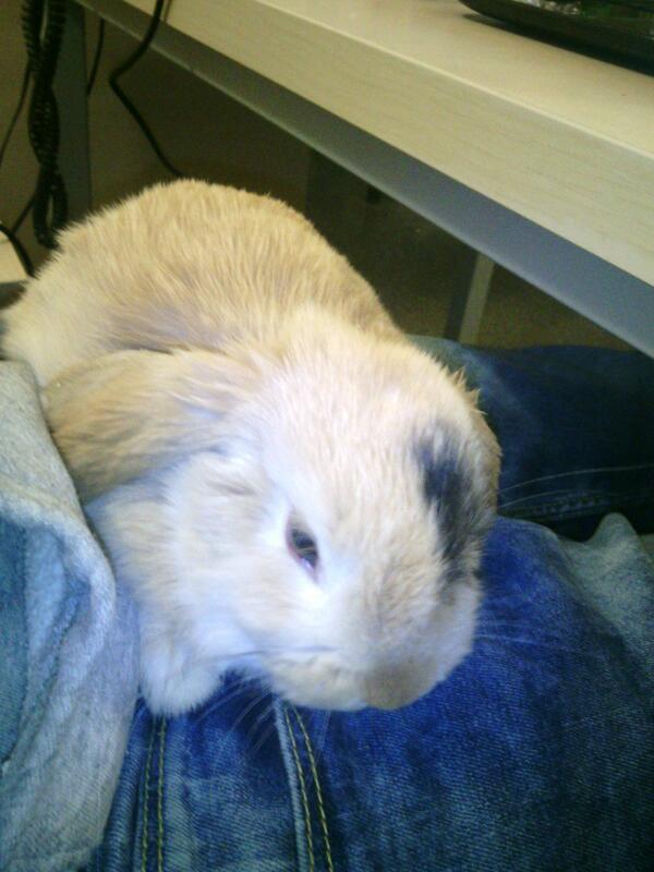 Nuevo compi de habitación #weedo