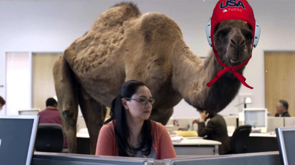 Guess what day it is? Woo woo! First day for Alabama Water Polo in 2014! Hope to see y'all at aquatic center at 7:30.