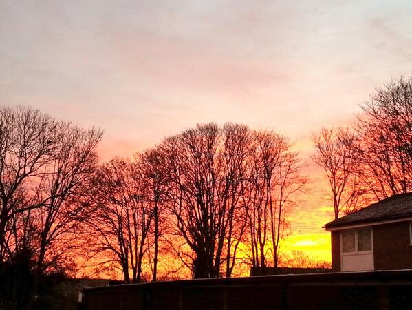 1dobby's tweet image. Sunrise