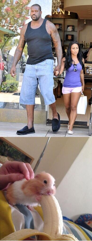 Spac3Potato's tweet image. Accurate