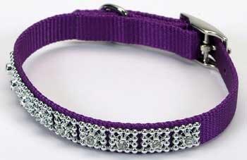 PuppyMart's tweet photo. Jeweled Dog Collar  - 10 in. Purple with Swarovski Crystal Jewels with a Width of 3/8 in. - http://t.co/AUPAPXh9yL http://t.co/j3E5SSU9tp