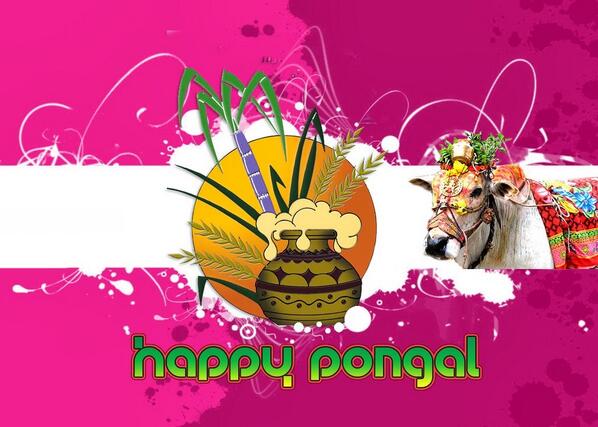 DurgaTamil's tweet photo. happy pongal and mattu pongal  :) http://t.co/cxanx2ZLbk