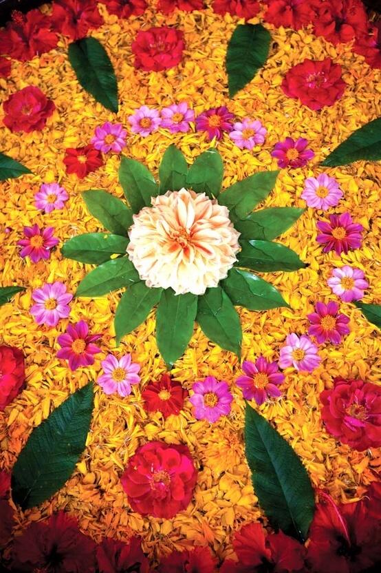 accessedindia's tweet photo. Happy Makar Sakranti – Happy Pongal – Eid Mubarak! We wish you joy and happiness on this festive season! http://t.co/CY9OVXUS7O