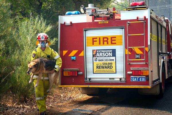 ISF_PerthWA's tweet photo. So much love for these heroes! Appreciation needs to be shown they risk their lives for our pets, RT to show support http://t.co/QmEvgyjkSx
