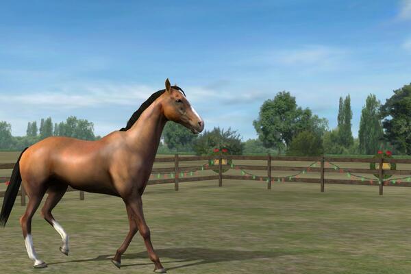 Kenagh GFC tweet media