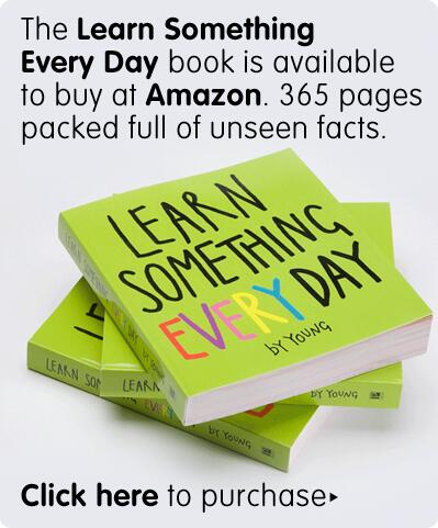 MariaLabor1's tweet image. Email-маркетинг: Чем меньше слов, тем лучше. #правильно