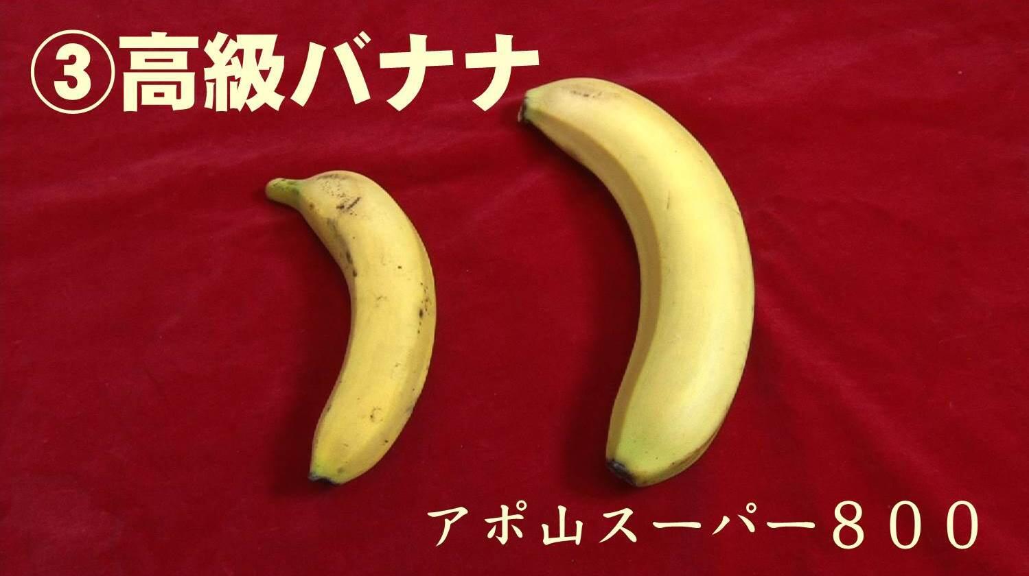 めざましテレビ ココ調で めざましアプリ投票をいつもより早く始めてるよ 第三弾は このロング 巨大バナナを食べさせたいのは誰 三宅さん 生野さん 加藤さん 軽部さん 山﨑さんの中から選んで投票してね めざましテレビ Http T Co