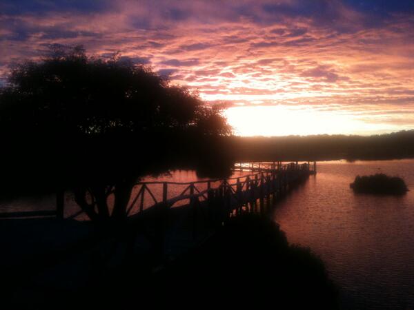 scille87's tweet photo. @nachitoferreira Si pajarera! Si Natura! http://t.co/qS67fQQuwT