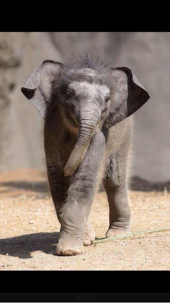 He's only a baby <a href="/neill_owe/">Neill Owens</a>