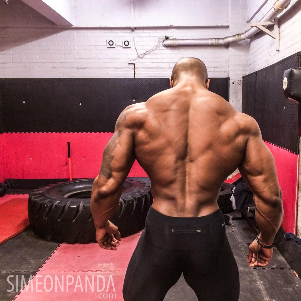 Simeon Panda on X Just finished a massive back session Back and legs days are my favourite http t o9tVYukZFb http t 5e4glnzEN1 X