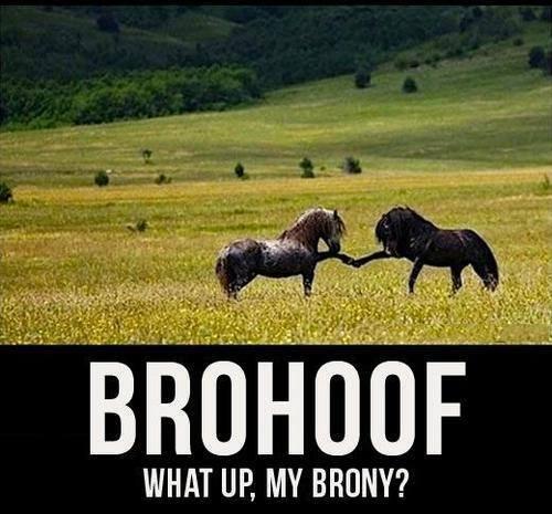jackd_21's tweet photo. “@CauseWereGuys: http://t.co/3QvzakNlEy”@katemccarl