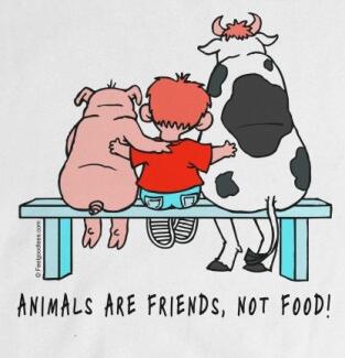 MadameVegan's tweet image. #StopusingAnimals. Love them - Respect them - #GoVegan!