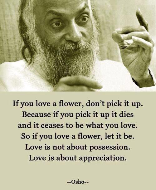 harryhudson's tweet photo. Love is not about possession....Love is about appreciation. We are all 1 no matter what they say.... http://t.co/rLsYbok07S
