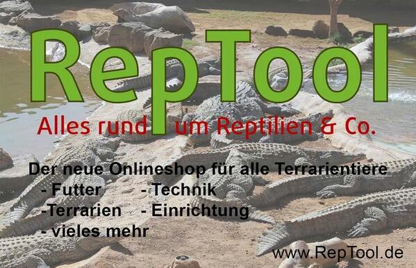 RepTool tweet picture