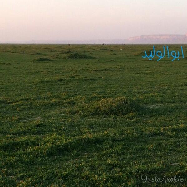 alhasanalharbi4's tweet photo. @alamattaqs 
روضة الخفس http://t.co/9HOHOmD759