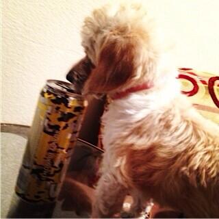 _theafterhours's tweet photo. You people aren't the only ones that turn up here. 👏🍻 http://t.co/lavCH7BXmQ