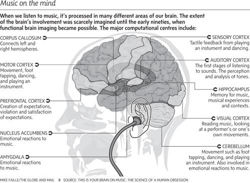 eneffbuzz's tweet image. “@vh1savethemusic: This is your brain on Music :)  #passthenote http://t.co/gfPfl1tlDp” #fsbmt