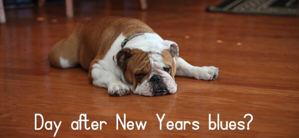 CoomberWines's tweet photo. Got the blues? Don't worry tomorrow is already Friday! #EnglishBulldog #NewYears #AnimalLovers  #WineLovers http://t.co/OobVtTvI4f