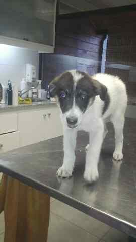 Luisana Lopilato tweet media