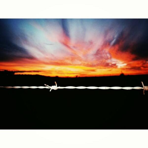 midwestbabee's tweet photo. this is my home y'all. :) #midwest #sunset #barbwire http://t.co/UPY1ozK7TP