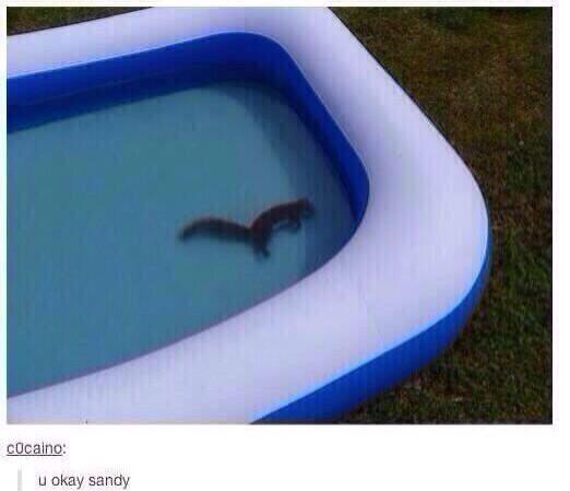 TXSTsquirrel's tweet photo. "@OfficialKhalilU: I'm so done 😫😩😂 http://t.co/guivjiLTVG" Omfg noooooooo