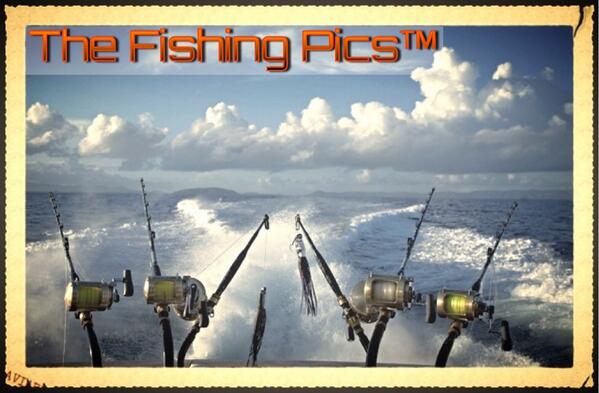 fishing_pics's tweet photo. Nothing like being 40 miles offshore and Tuna Trolling! #offshore #saltlife #trolling #tunafishing http://t.co/TLlLxlogBs