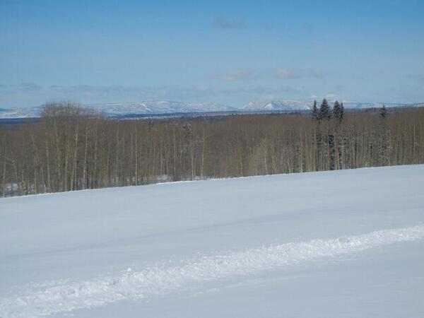 CharlieDaniels's tweet photo. Global warming invades the Rocky Mountains http://t.co/YOwzxFi0xl