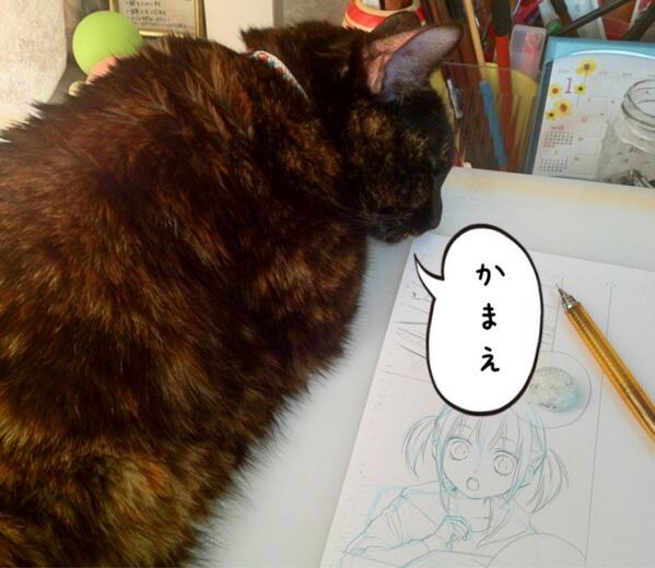 本当にちょっと…
邪魔だってばよ… 