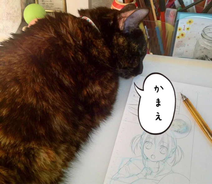 本当にちょっと…
邪魔だってばよ… 