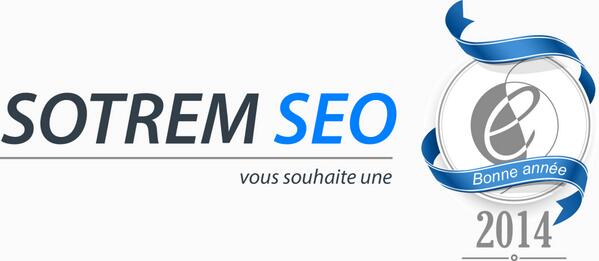SOTREM SEO tweet media