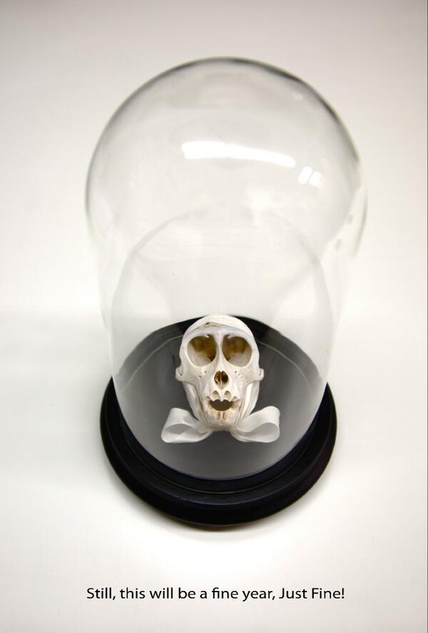 Silvia B tweet media