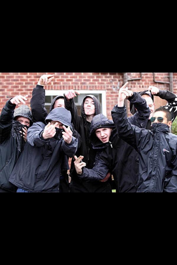 View image on Twitter