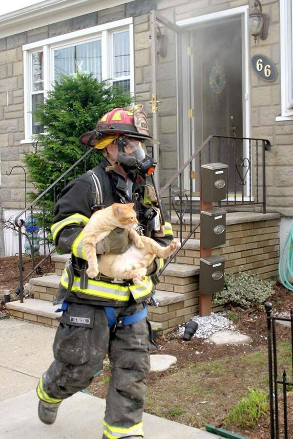 Hero Alert!  Thank you sir!