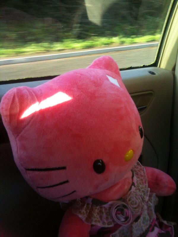 ukbear22's tweet photo. Sorry if we have not done pics for so long but that was a pic on Monday rose and me where going bulid a bear http://t.co/tQU4NmWslI