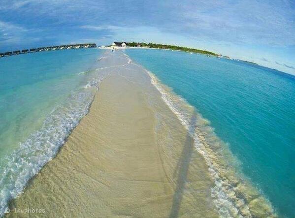 NatuPictures's tweet photo. Camino natural, Maldivas. http://t.co/6eVWMKqiyq