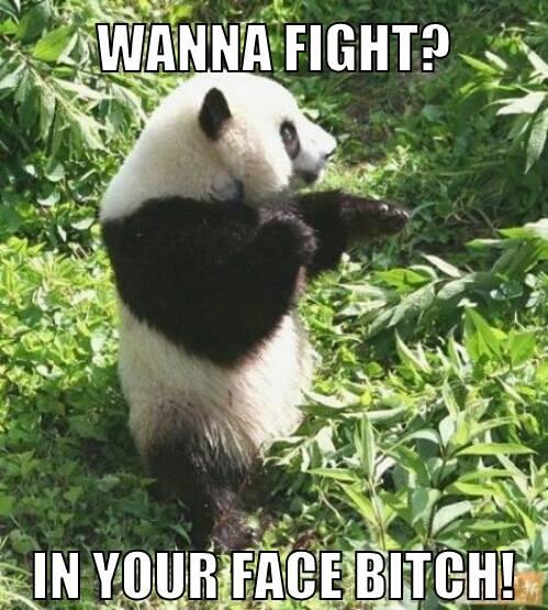 GamePanda1's tweet image. :D fight and play game-panda.com