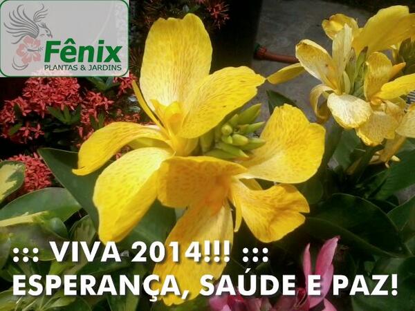 Fenix Plantas Jardim Fenixartdecor Twitter