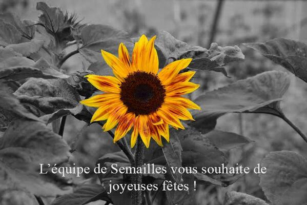 SemaillesBe's tweet photo. Que 2014 soit une année fructueuse, qu'elle égaie vos papilles gustatives pour le plus grand plaisir des sens. #2014 http://t.co/zvBWlIieCJ