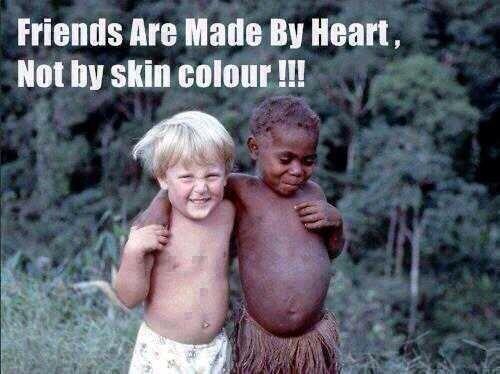 dianne trebble tweet media