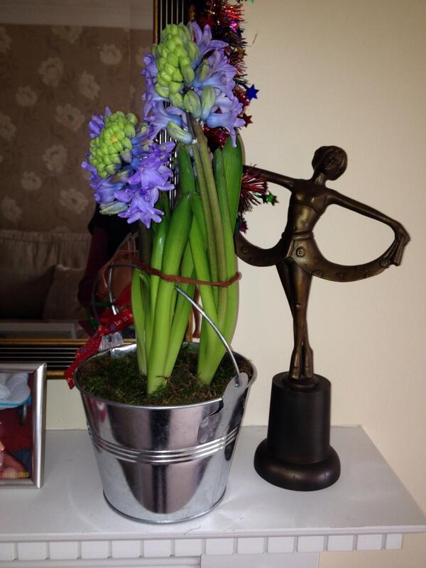 HeatherHarman4's tweet image. @GeorginaLSmith bulb update #startingtobloom #named #orlandobloom #perfumedroom