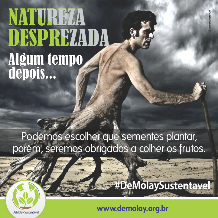 ordem de servi莽o seed
