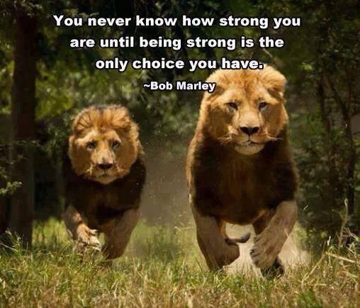 nbamemedotcom's tweet image. Likewise, you won't know how much you can push your body, until you do. #PushYou... - absextreme.com/gym-memes/like…