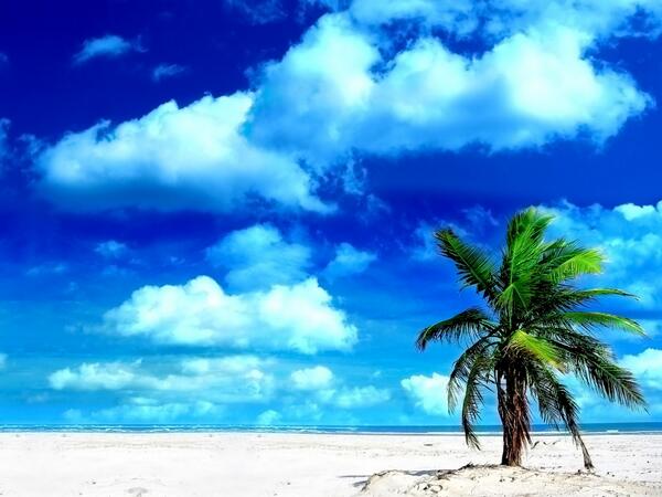 SysdataTec tweet picture