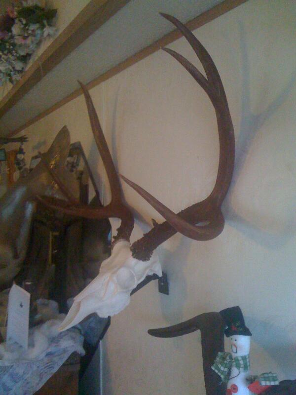 chad vidas (@chadvidas) on Twitter photo 