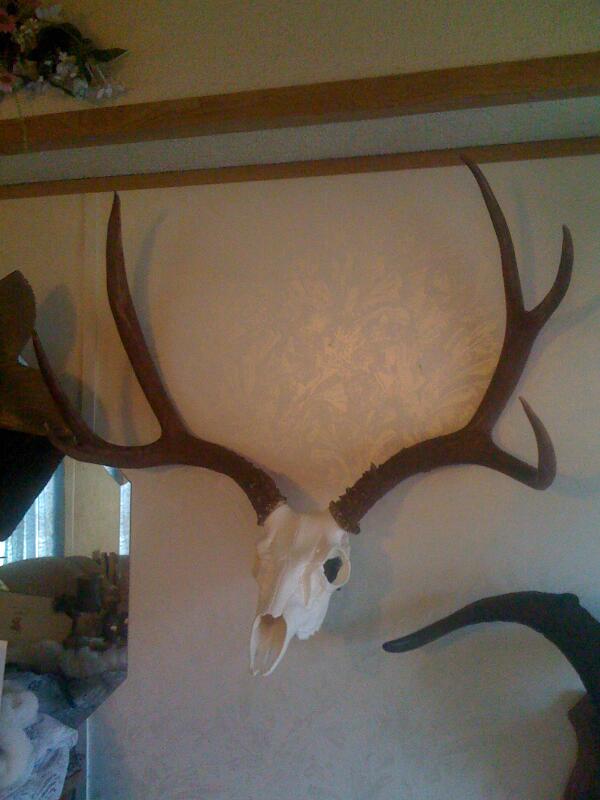 chad vidas (@chadvidas) on Twitter photo 