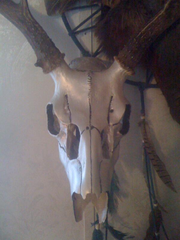 chad vidas (@chadvidas) on Twitter photo 