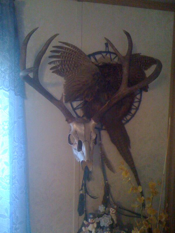 chad vidas (@chadvidas) on Twitter photo 