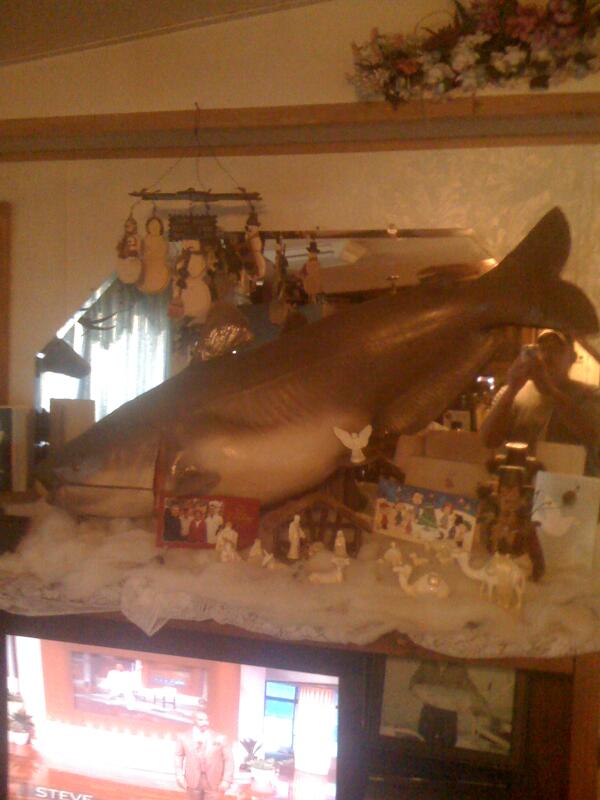 chad vidas (@chadvidas) on Twitter photo 