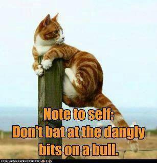 My friend Al, learnt his lesson