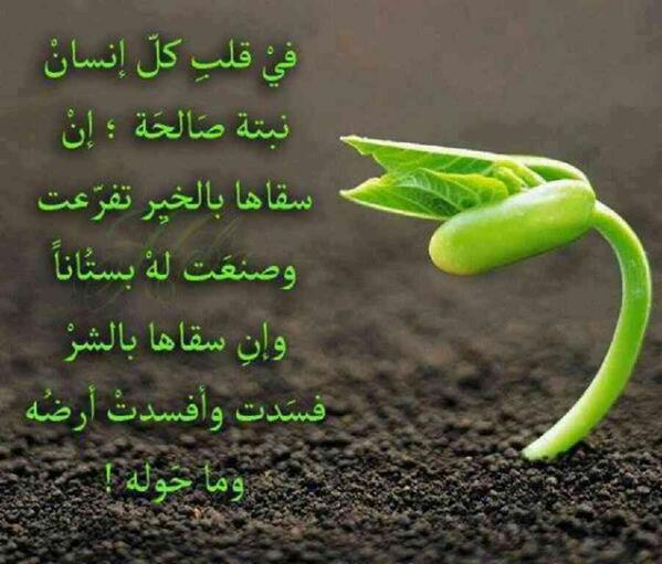 hamdankormt's tweet photo. http://t.co/akqHLxa03q